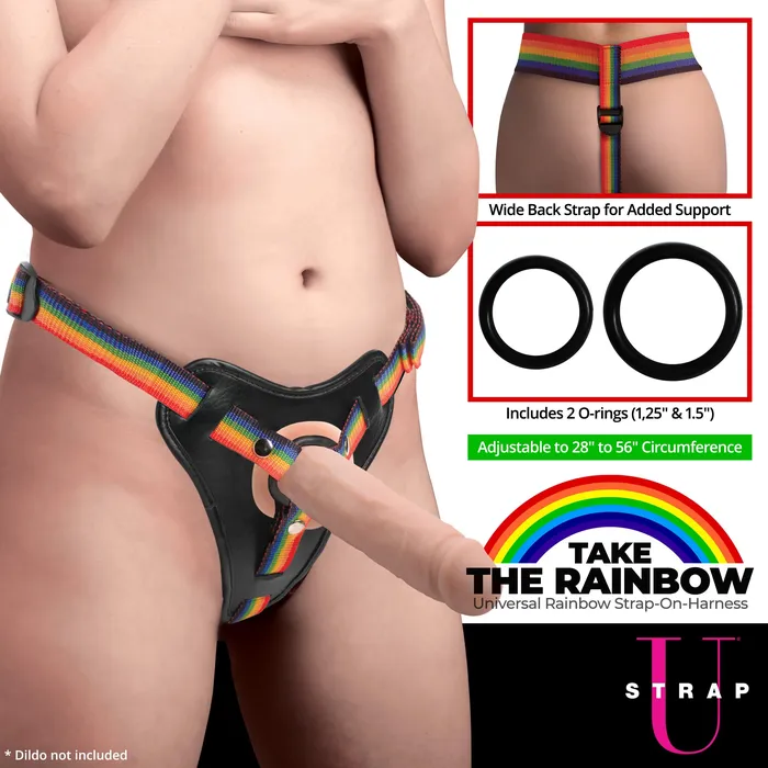 Female Sex Toys XR Brands Rainbow Strap On Harness With Silicone Orings
