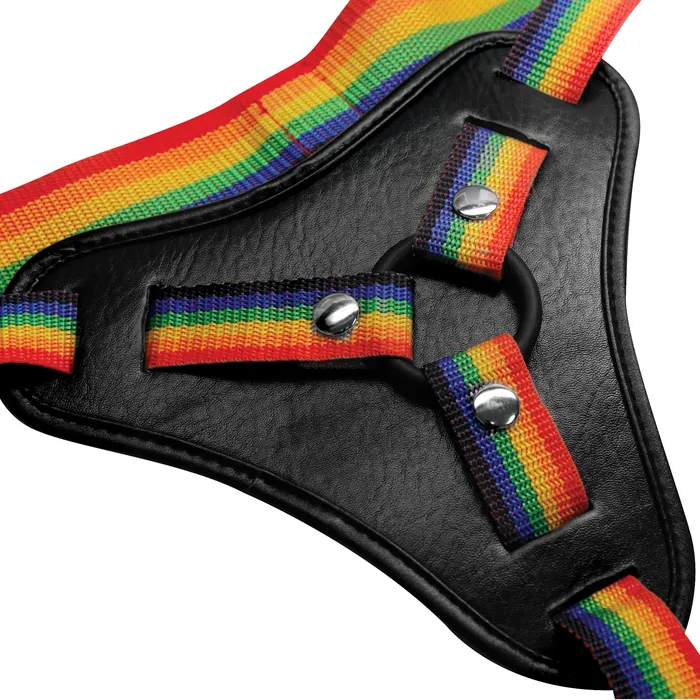 Female Sex Toys XR Brands Rainbow Strap On Harness With Silicone Orings